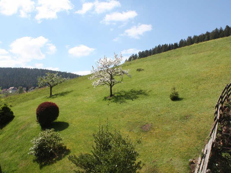 Ferienwohnung Herbert Best Baiersbronn Extérieur photo